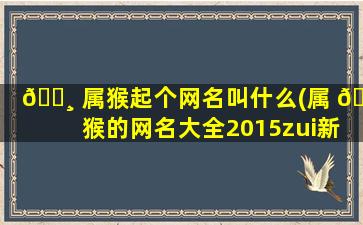 🕸 属猴起个网名叫什么(属 🦉 猴的网名大全2015zui
新版)